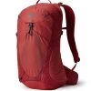 Gregory Miko 20 Rucksack (sumac-red)