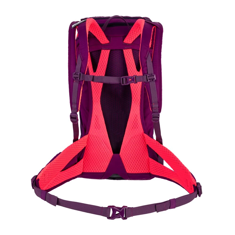 Salewa Alp Trainer 20 Ws Rucksack (dark-purple) – Bild 2
